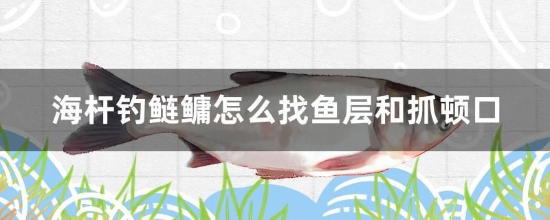 海桿釣鰱鳙怎么找魚層和抓頓口