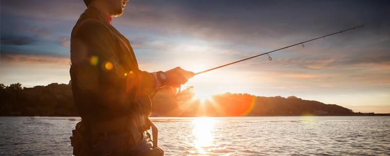 冬天5到8度下小雨可以釣魚嗎 紅龍專用魚糧飼料 第2張