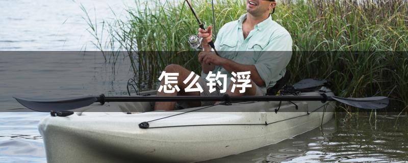 怎么釣浮 金龍魚百科 第1張