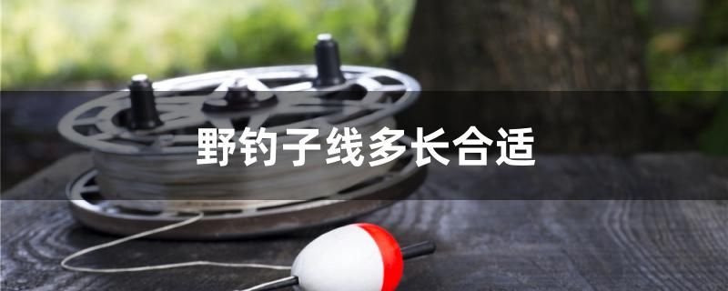 野釣子線(xiàn)多長(zhǎng)合適 鴨嘴鯊魚(yú) 第1張