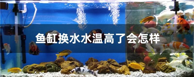 魚缸換水水溫高了會怎樣