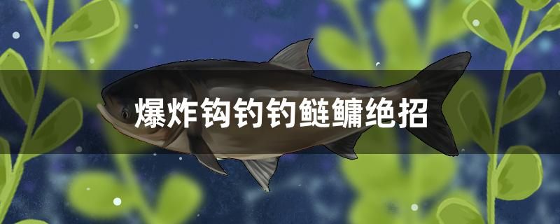 爆炸鉤釣釣鰱鳙絕招 電鰻 第1張