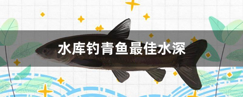 水庫(kù)釣青魚(yú)最佳水深 廣州景觀設(shè)計(jì) 第1張