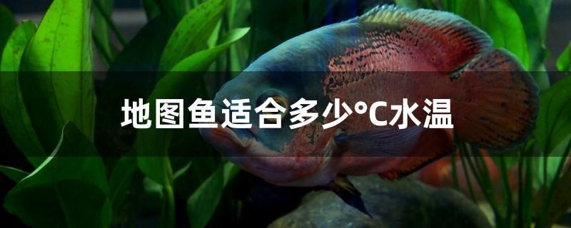 地圖魚適合多少deg;C水溫