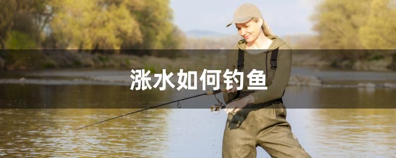 漲水如何釣魚 皇冠黑白魟魚 第1張