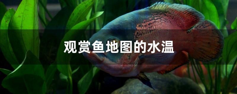 玉石可以放魚缸里面嗎圖片（臥室放什么招財，臥室里不能擺放哪些東西）