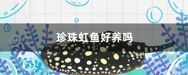 珍珠虹魚好養(yǎng)嗎 水族品牌 第1張