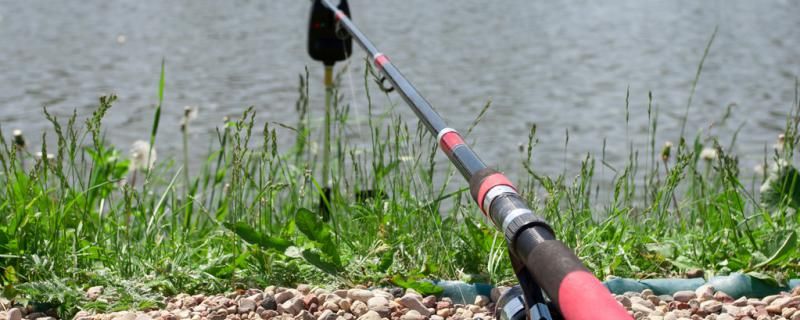 夏天釣魚用幾米的竿最好用什么魚餌最好 其他益生菌 第1張