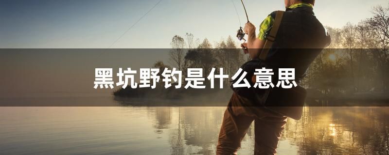 黑坑野釣是什么意思 B級過背金龍魚 第1張