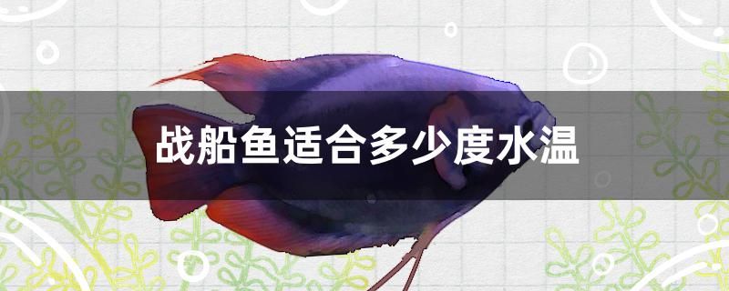 戰(zhàn)船魚適合多少度水溫 觀賞魚飼料 第1張