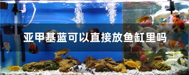 亞甲基藍(lán)可以直接放魚(yú)缸里嗎 吉羅魚(yú)批發(fā) 第1張