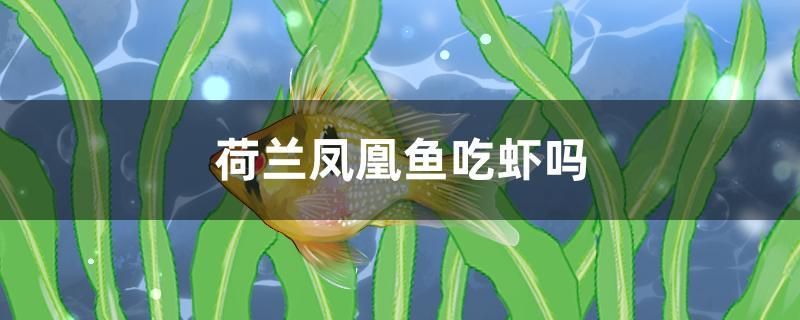 福州觀賞魚(yú)飼料公司招聘電話號(hào)碼 福州哪里喂魚(yú) 巨骨舌魚(yú)