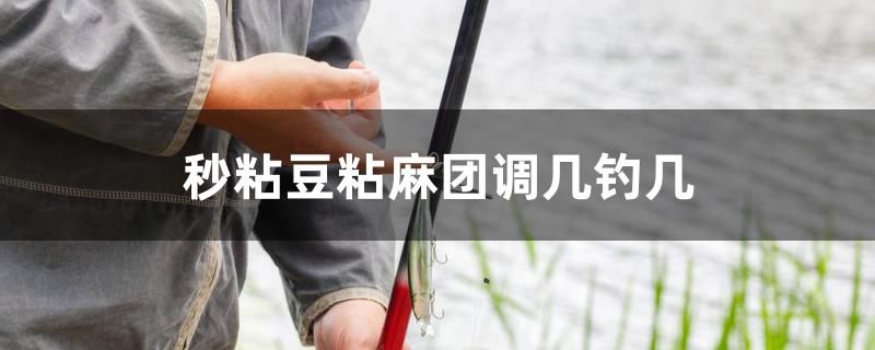 秒粘豆粘麻團調(diào)幾釣幾 金三間魚 第1張