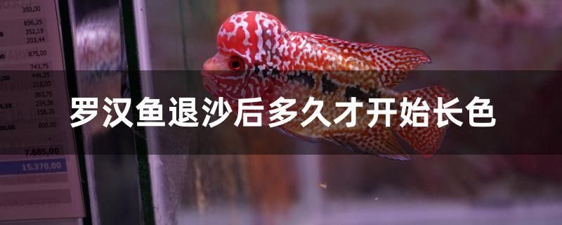 羅漢魚退沙后多久才開始長色 森森魚缸 第1張