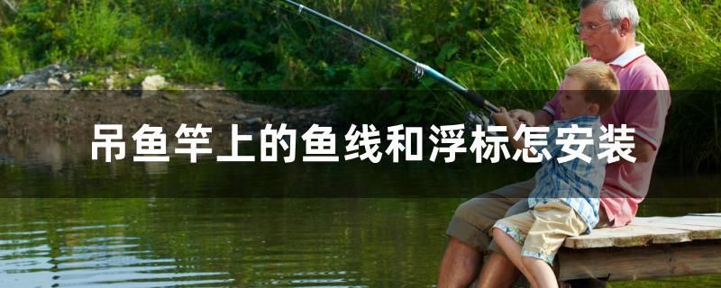 吊魚竿上的魚線和浮標(biāo)怎安裝 祥龍龍魚魚糧 第1張