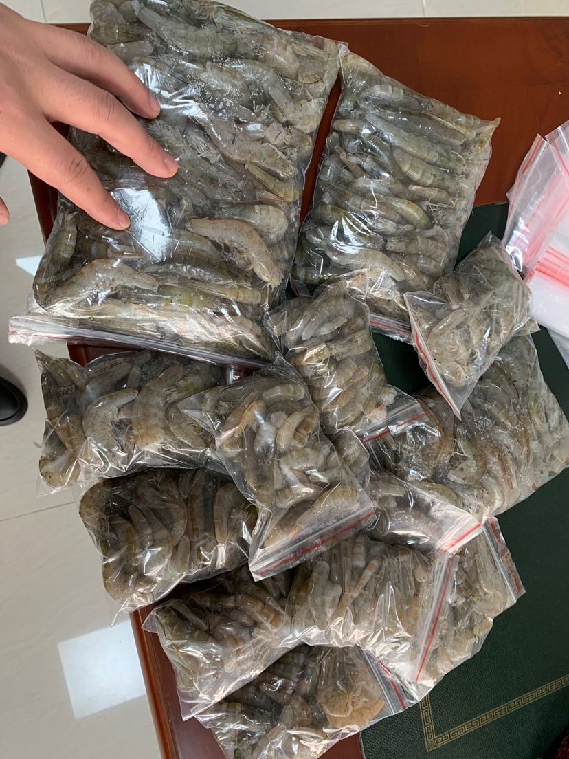 3年咯，幸福 觀賞魚論壇 第1張