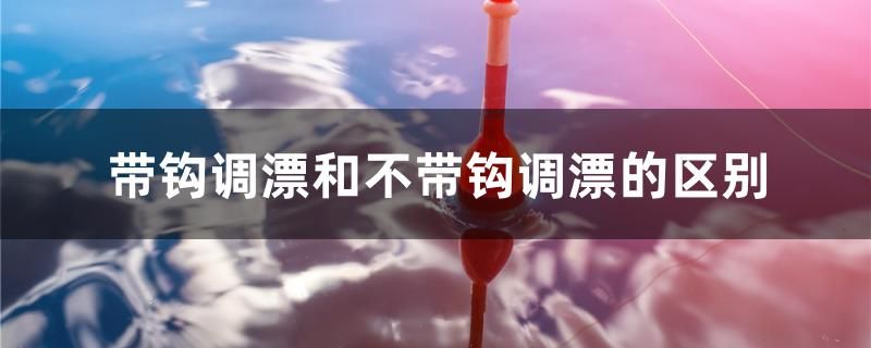 帶鉤調(diào)漂和不帶鉤調(diào)漂的區(qū)別