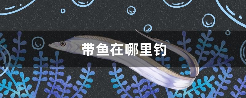 博山觀賞魚市場在什么地方賣的（博山溶洞和沂源溶洞哪個好玩）