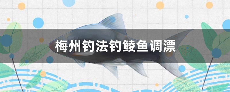 梅州釣法釣鯪魚(yú)調(diào)漂 過(guò)背金龍魚(yú) 第1張