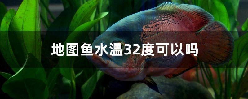 地圖魚水溫32度可以嗎 大正錦鯉魚 第1張