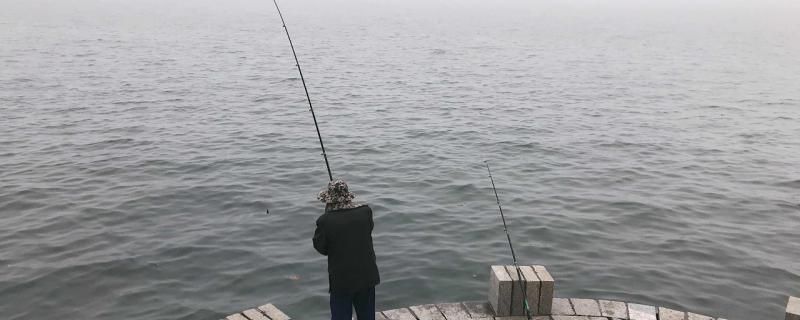 釣魚為什么浮漂浮不起來浮漂浮不起來怎么辦 帝王血鉆 第1張