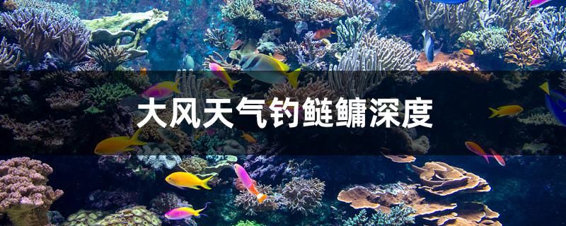 大風天氣釣鰱鳙深度 紅尾平克魚 第1張