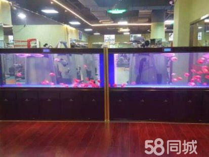 大連魚缸搬運(大連魚缸搬運電話) 魚缸水泵 第2張