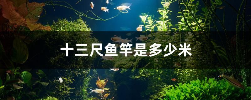 十三尺魚(yú)竿是多少米 生態(tài)瓶/創(chuàng)意缸/桌面微景缸 第1張