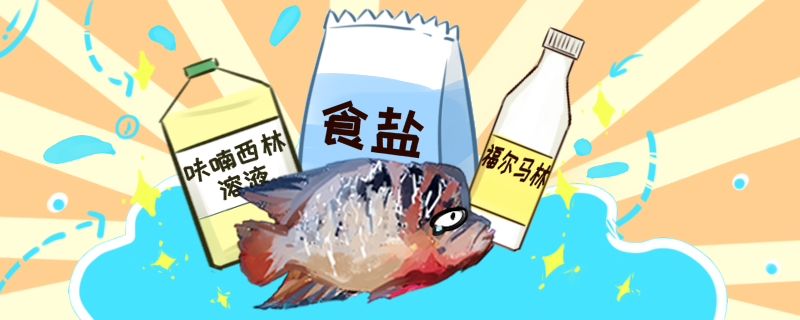 羅漢魚(yú)生病了怎么辦常見(jiàn)病治療方法介紹 印尼虎苗 第1張