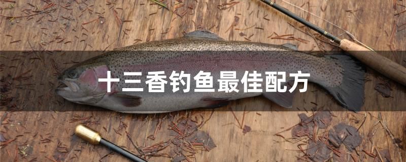 十三香釣魚最佳配方 紅龍福龍魚 第1張