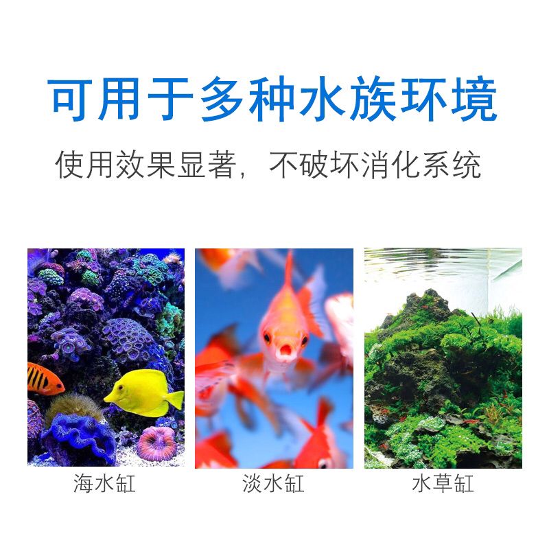 三元康，國內(nèi)最好的大白片 觀賞魚論壇 第8張