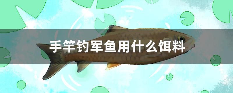 手竿釣軍魚用什么餌料