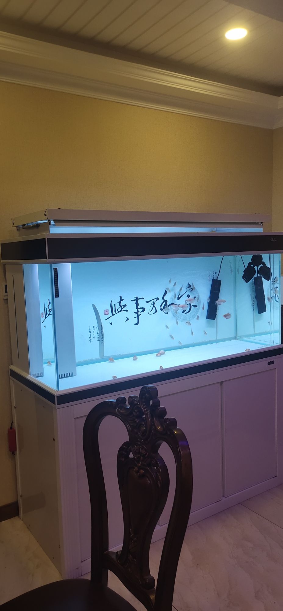 蘭州魚(yú)缸訂做電話多少錢(qián)?。ㄌm州市魚(yú)缸制作店）