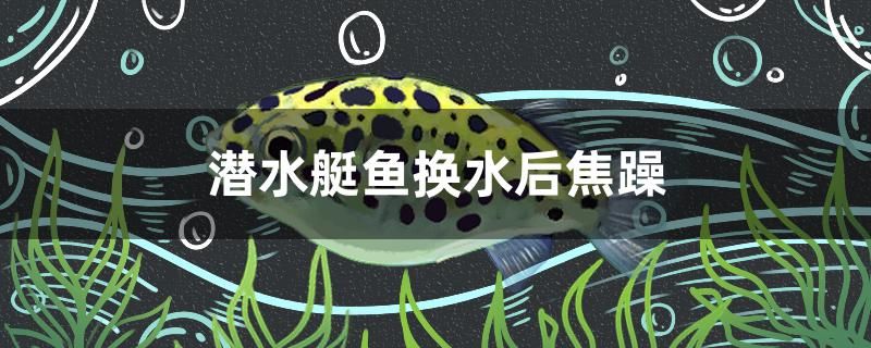 魚缸的布景圖案（魚缸布景創(chuàng)意） 胭脂孔雀龍魚