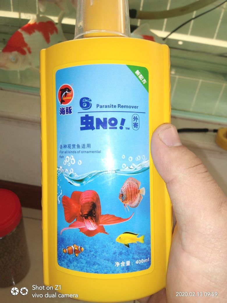 買海豚魚糧送的，去魚頭白膜病有效果 觀賞魚論壇 第1張