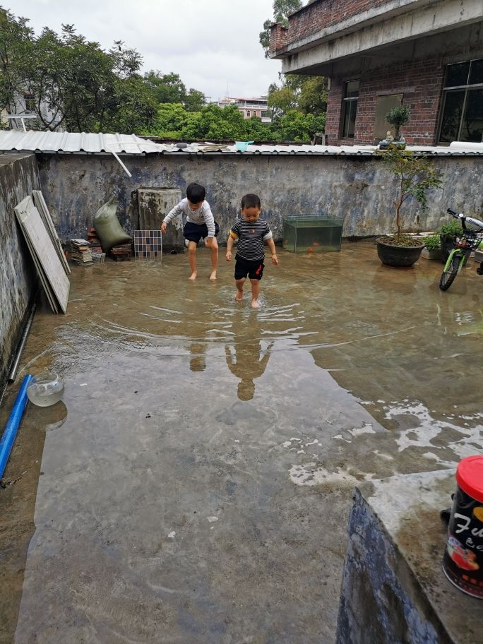 繼續(xù)分享樓頂魚池建造。 觀賞魚論壇 第5張