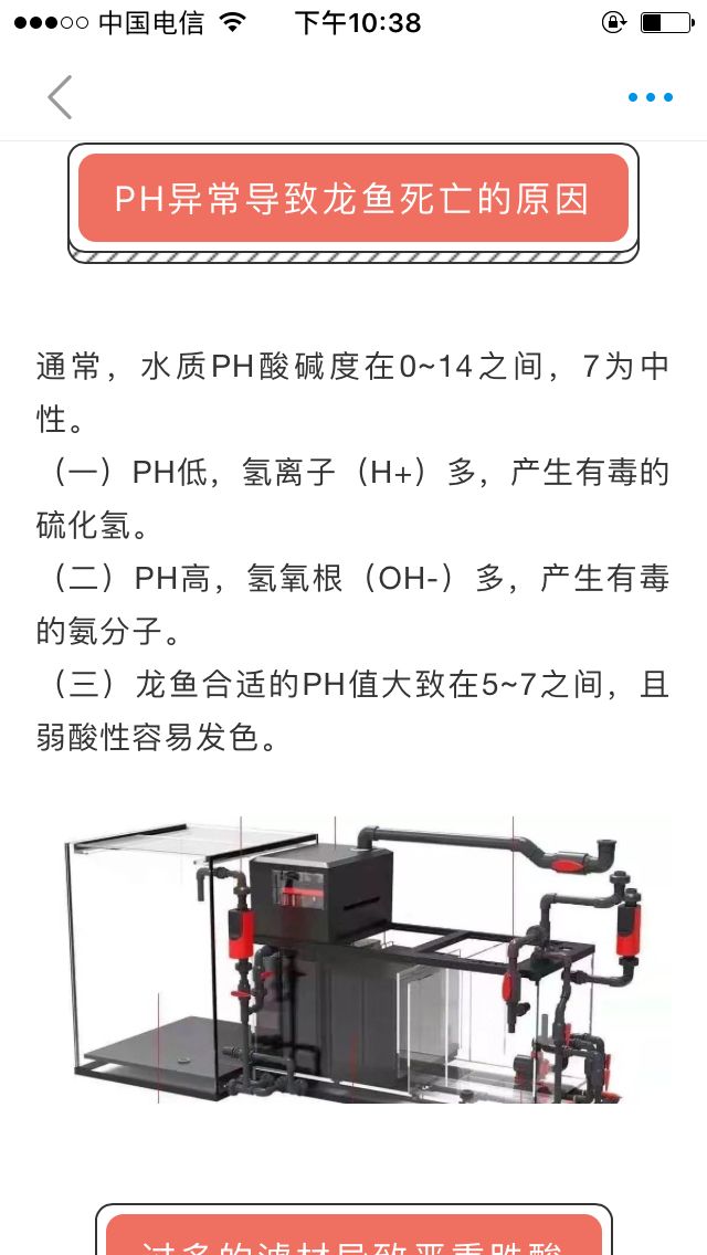 這帖子不能評(píng)論，但是沒看懂。 觀賞魚論壇 第1張