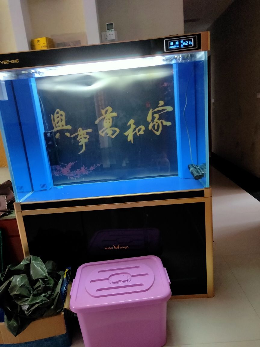 龍魚缸改養(yǎng)海水魚，請(qǐng)大師指點(diǎn)！ 觀賞魚論壇 第1張