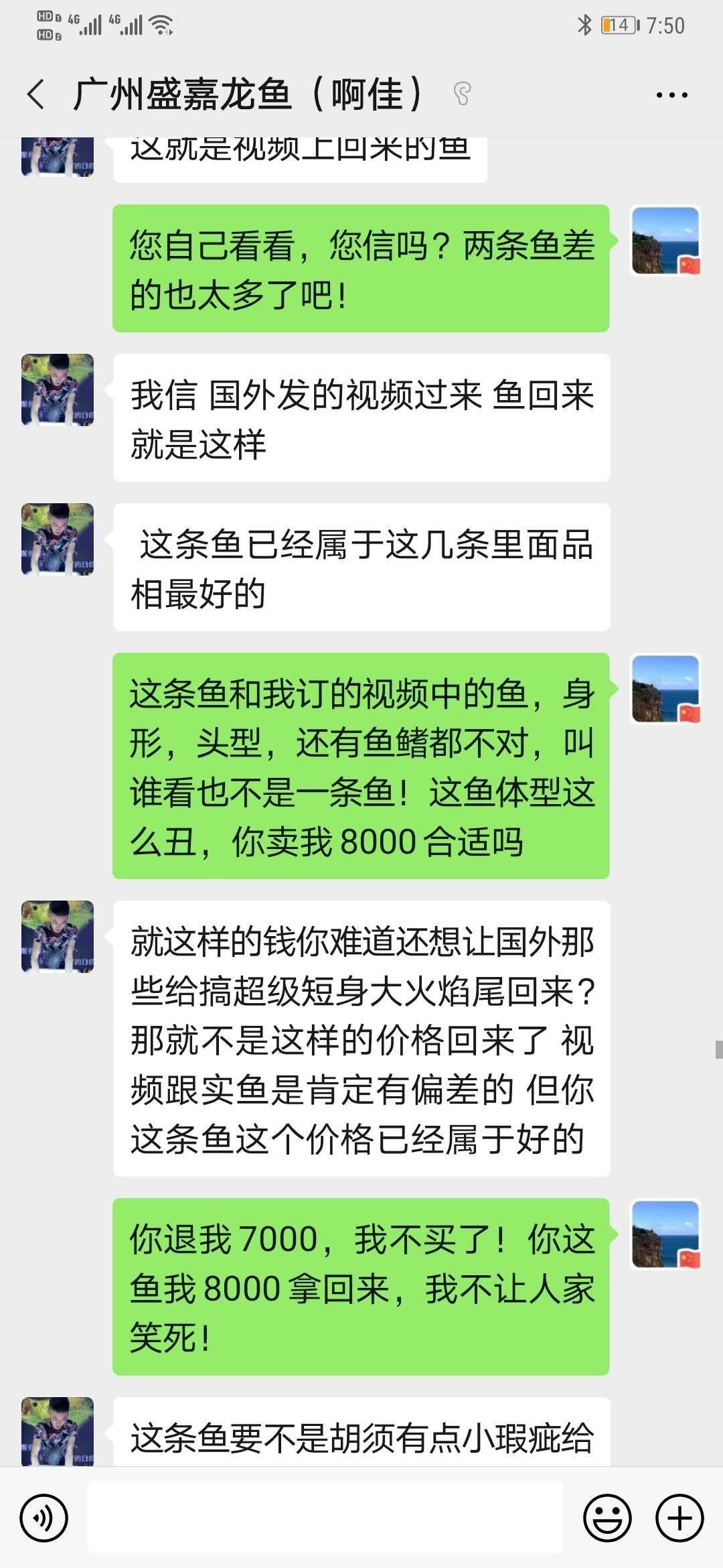 廣州盛嘉龍魚～康奕佳超級(jí)大騙子 觀賞魚論壇 第7張