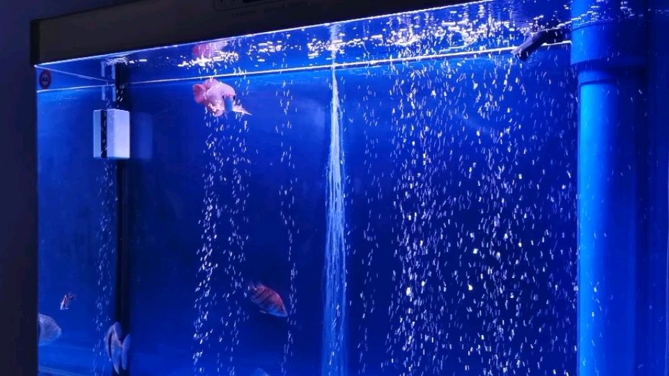 魚缸水族箱十大品牌（魚缸水族箱品牌排行榜） 其他品牌魚缸