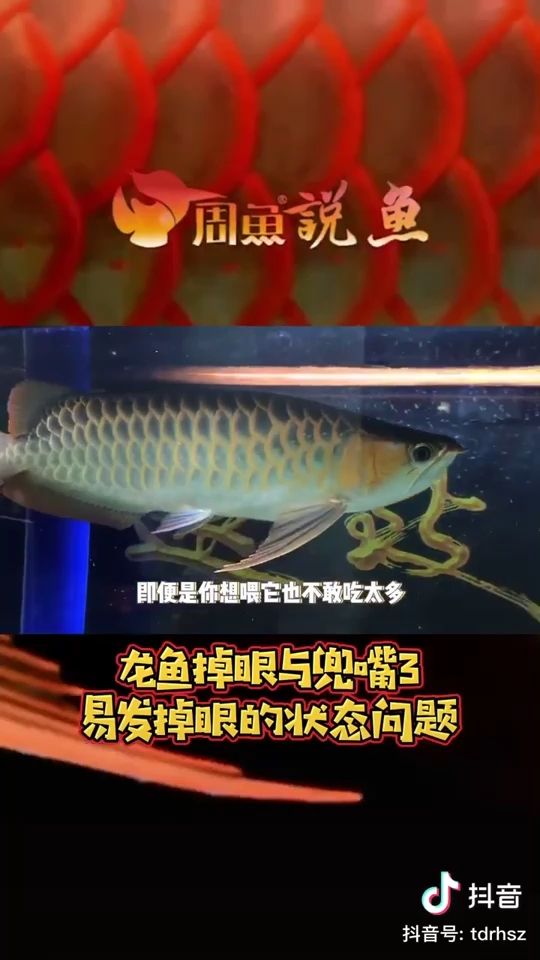 學習中老鐵！ 觀賞魚論壇 第1張