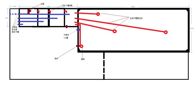 樓頂4米x2米錦鯉池 觀賞魚論壇 第2張