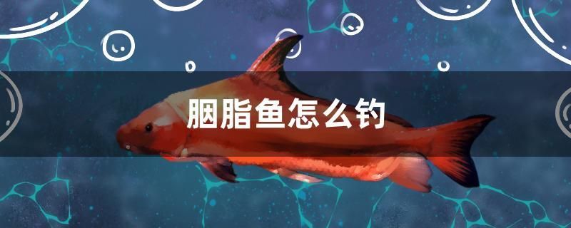 胭脂魚(yú)怎么釣 白子紅龍魚(yú) 第1張