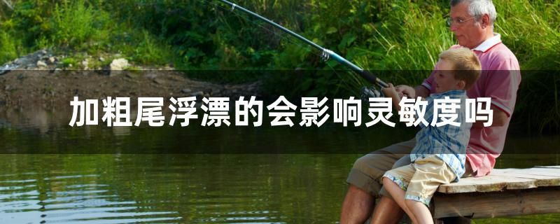 加粗尾浮漂的會影響靈敏度嗎 魚糧魚藥 第1張