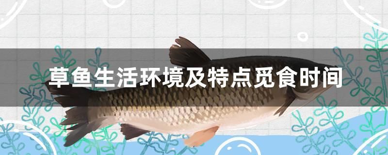 草魚生活環(huán)境及特點覓食時間