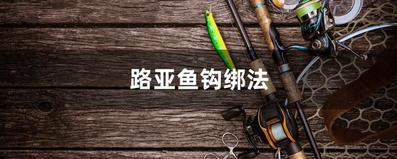 路亞魚(yú)鉤綁法 養(yǎng)魚(yú)的好處 第1張