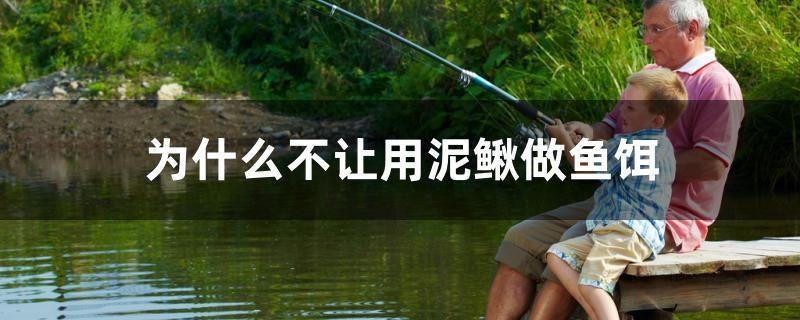 魚缸平時(shí)怎么維護(hù)和保養(yǎng)視頻（回家過年魚缸里的魚怎么辦） 養(yǎng)魚知識(shí)