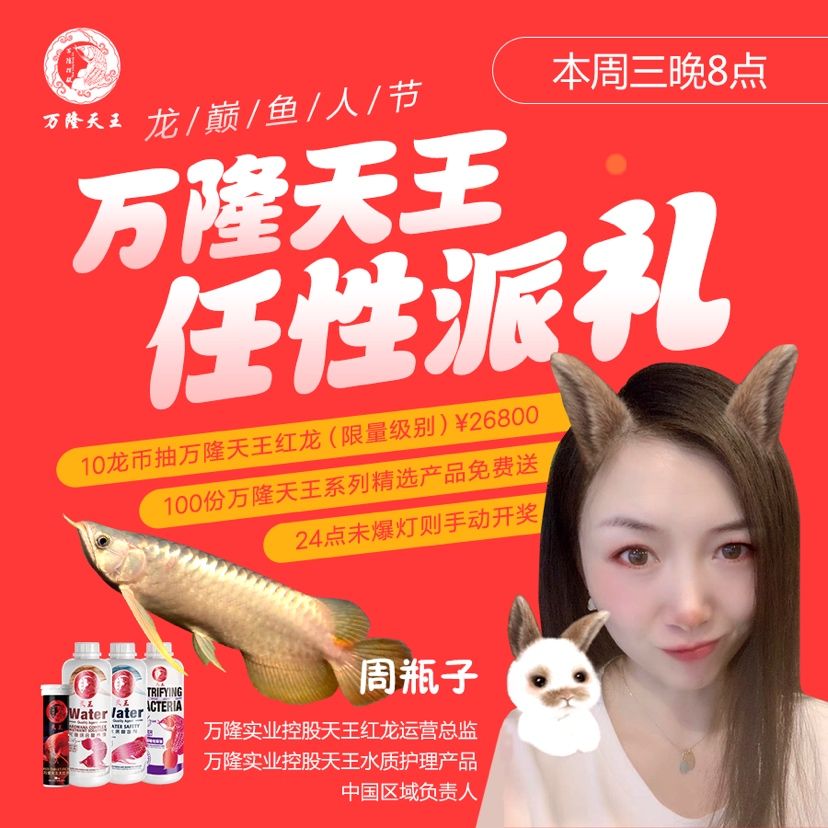 您的鬧鐘定好了嗎？ 觀賞魚論壇 第1張