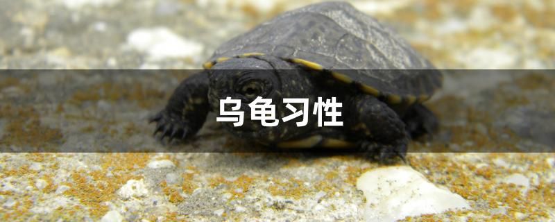 上海上門(mén)舊魚(yú)缸回收電話號(hào)碼 上海上門(mén)舊魚(yú)缸回收電話號(hào)碼多少