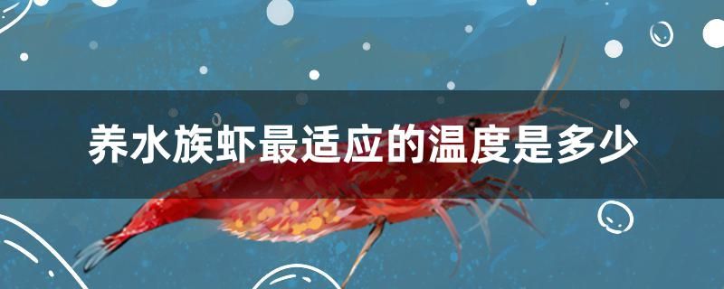 養(yǎng)水族蝦最適應(yīng)的溫度是多少 紅龍專用魚糧飼料 第1張